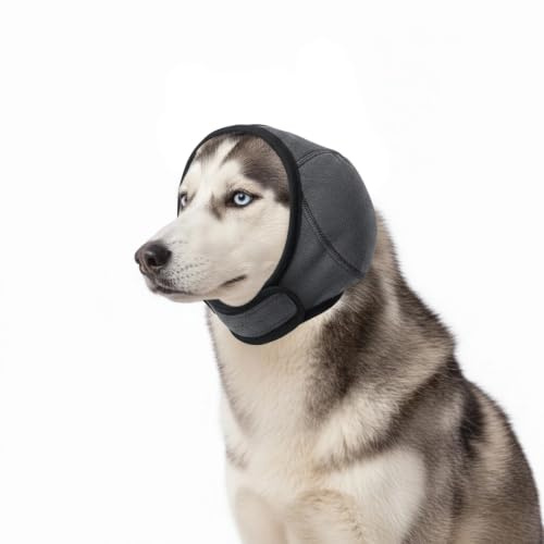 KIGNIEK Casque anti-bruit pour chien - Protection contre le bruit - Protection auditive imperméable pour chien - Pour le toilettage, le bain (L)