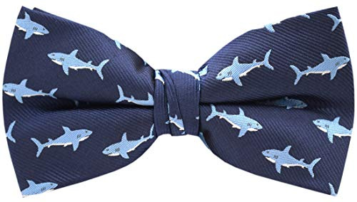 Carahere Mens Bow Tie Handmade Pre-Tied Fun Pattern Bow Ties for Men Light Blue