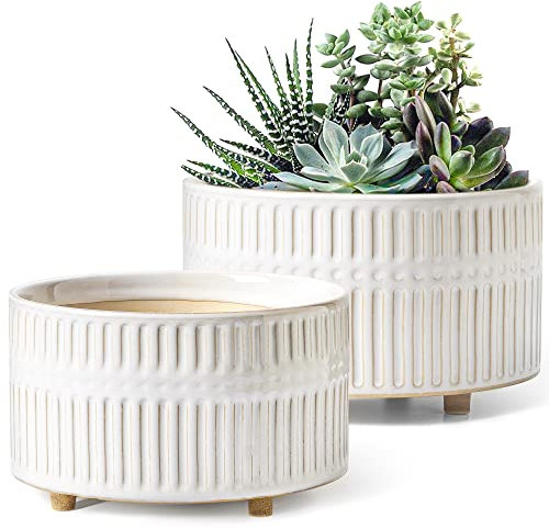 LE TAUCI Ceramic Plant Pots Indoor, 16.5+20 cm Succulent Plant Pot with Drainage Holes, Modern Cylindrical Decorative Bonsai Pot, Gifts for Mom, Set of 2, Reactive Glaze White