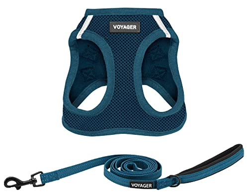 Voyager Step-in-Air-Katzengeschirr – Allwetter-Netzgewebe für kleine und mittelgroße Katzen von Best Pet Supplies – Set (Blau), XXS