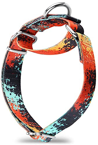 Dazzber Martingale hundhalsband färgglada oljemålningsmönster serie – inget drag husdjurshalsband silkeslen mjuk för medelstora och stora hundar (liten, 1,5 cm bred, djungel solnedgång)