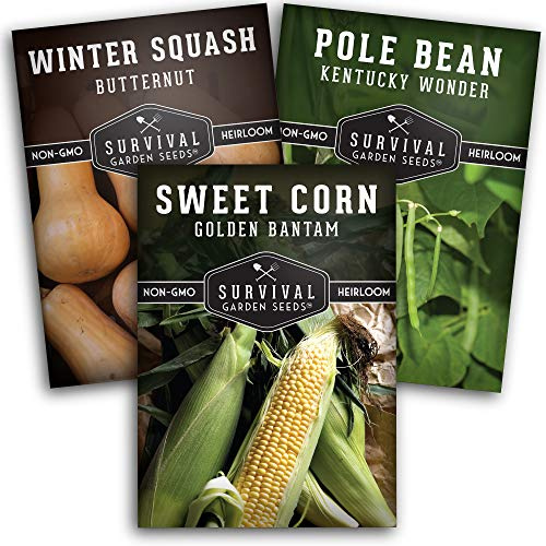 Three Sisters Seeds for Planting - Companion Gardening Collection