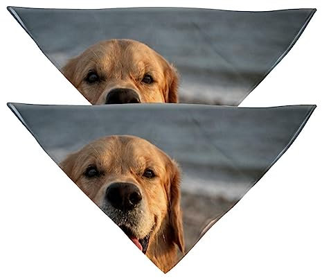 Hundehalstücher im 2er-Pack, dreieckiger Haustierschal, transparenter Chiffon-Stoff, Halstuch für kleine, mittelgroße und große Hunde und Katzen,Golden Retriever Küste