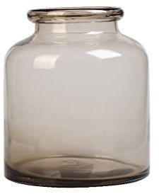 TONZN Vase aus Glas, transparent, Ornament, Blumenarrangement, Blume, Hydrokultur, Wasserpflanze, grüner Rettich, Glasvase, Behälter (Farbe: B) (A)
