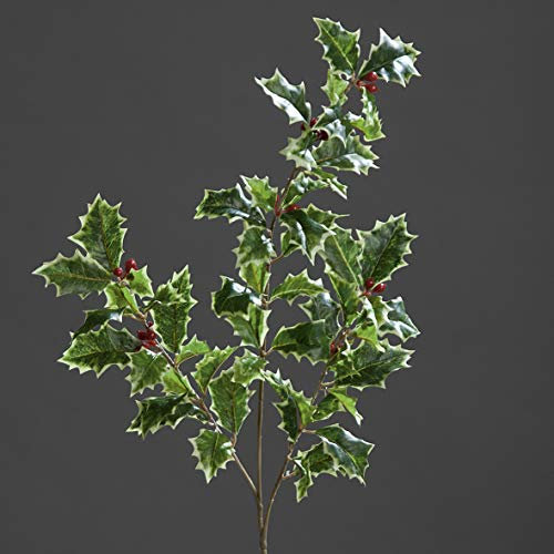 mucplants Ilexzweig Grün-Weiß mit roten Beeren Höhe 52cm Kunstzweig Künstlicher Ilex Kunstblumen