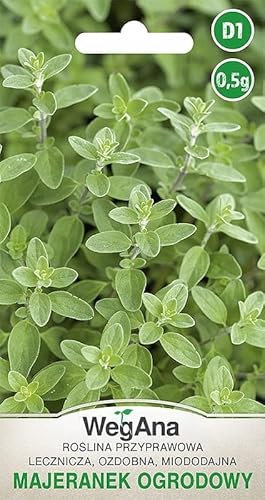 WegAna Semi di maggiorana 0,5 g, Semi di erbe aromatiche Semi di ortaggi robusti Semi per la coltivazione Semi di erbe da cucina Spezie da balcone e da giardino