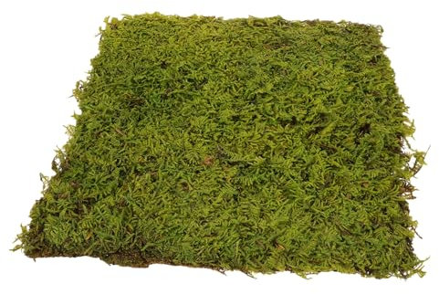 CIYODO Kunstrasen Für Sandtisch Langlebiges Epe-schaummaterial Geeignet Für DIY-projekte Und Bastelornament