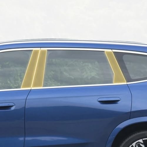 Guvsad Pellicola protettiva per carrozzeria auto, con membrana in poliuretano termoplastico PPF, per BMW U10 U11 x1 x1 x2 iX1 (trasparente)