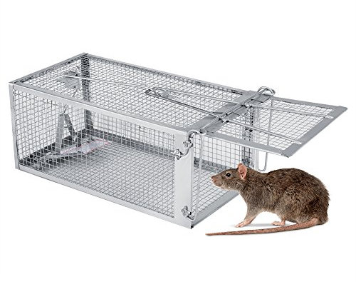 Haofy Rattenfalle Käfigfalle Kleines Lebendes Tier Nagetier Maus Kontrolle Köderfang