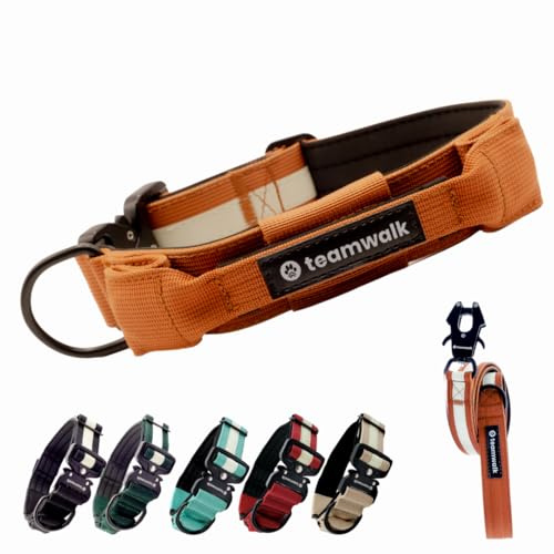 teamwalk® Premium Hundehalsband - mit Magnetgriff, Leuchtstreifen, Air-Tag Tasche, individuell einstellbar, weiche Polsterung, robuste Schnalle, mit passender Leine erhältlich, JETZT NOCH Leichter(M)