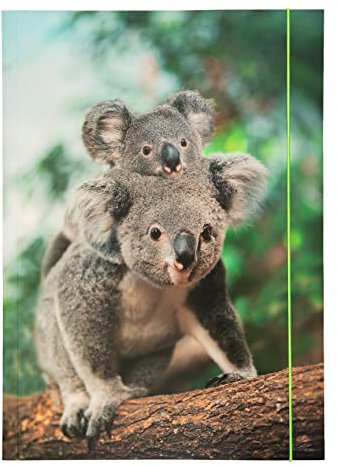 folia 69003 - Sammelmappe A3 Basic Jungle Cuties, aus stabilem Karton mit Gummiband