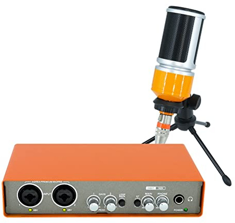 Gsrimgratoe Microphone Professionnel Interface Audio Enregistrement Carte Son Mixeur de Guitare éLectrique Console de Mixage Professionnelle