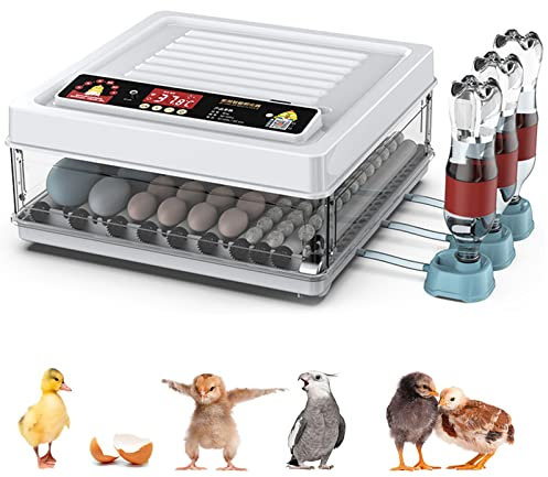 Oiyekntd Automatische Ei-Inkubator-Brutmaschinen-Hühnchen-Inkubator-Inkubator-Controller-Farm 64-128 Eier Inkubator mit automatischer Temperatur-/Luftfeuchtigkeitskontrolle,98
