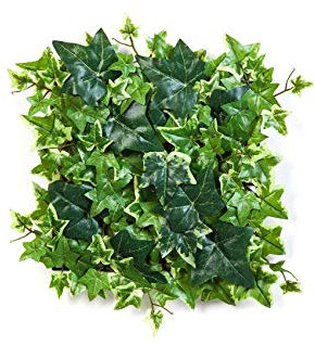 artplants.de Plaque de Lierre Artificiel Linda, 144 Feuilles, Blanc - Vert, 30x30cm - Feuillage Artificiel - Lierre Artificiel