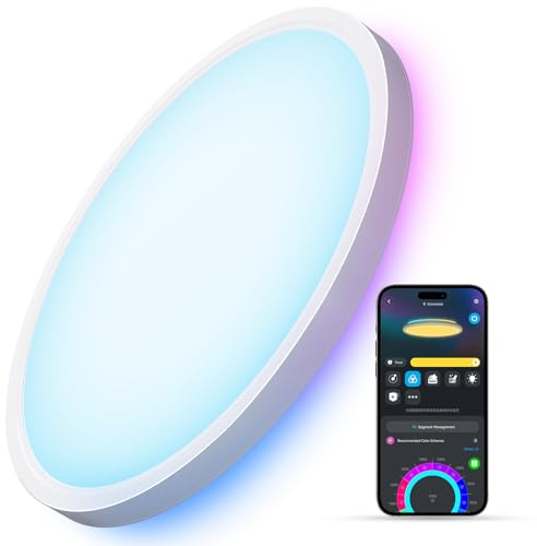 Govee Smart Ceiling Light, RGBIC LED Ceiling Light Fixture, 2400LM Flush Mount Light Fixture, DIY Colors, Works with Alexa, 2200K-6500K Lights for Bedroom, Living Room,12 Inch, 1 Pack (White)