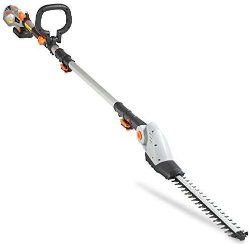 VonHaus Tagliasiepi a Batteria 20V– Tagliasiepi Telescopico Estensibile, per Siepi, Cespugli, Rami, Arbusti, Caricatore, Tracolla, Testa Regolabile a 135°, Lame Dual Action (Grigio)