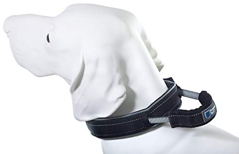 Armored Tech Dog Control Halsband mit integrierter Kurzleine (S - Halsumfang 33-38 cm, schwarz)