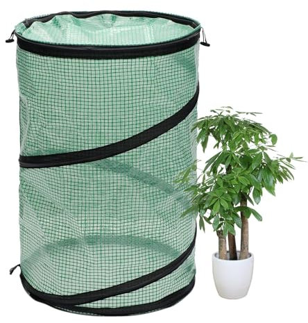 Invernadero para plantas de interior, tienda de campaña de invernadero de interior pequeño invernadero para plantas de interior, tienda plegable para plantas de invernadero, balcón, invernadero,