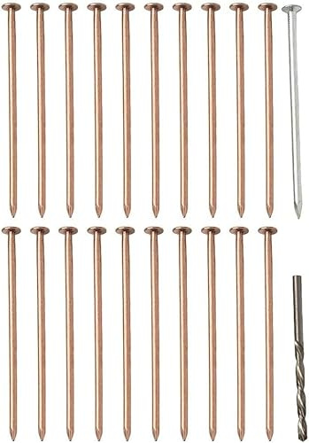 Daaxing Clavos de cobre para matar árboles de 4 pulgadas con broca, juego de puntas de eliminación de raíces de tocones, clavos de cobre para eliminar tocones y raíces (20 unidades)