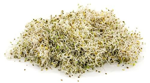 Italian Sprout - Semi per microgreens - Valerianella Lullaby - 100 gr.