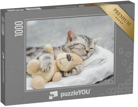 puzzleYOU: Puzzle 1000 Teile „Niedliches Kätzchen schmust mit einem Teddy“ – aus der Puzzle-Kollektion Tiere, Amerika, Katzen-Puzzles