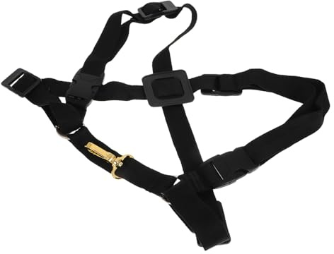 Hoement Saxophon Gurt Mit Gepolsterten Schulterriemen Verstellbarer Für Tenor Alt Und Bari Saxophon Ergonomisches Zubehör Für Musiker Und Anfänger