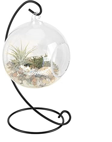 Raguso Vase en Verre Suspendu Transparent conteneur de Plantes en Verre Suspendu Grande Plante Terrarium avec Cadre pour Plantes à air jardinières succulentes décoration de Jardin