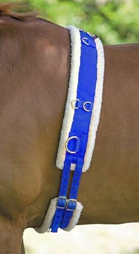 Best On Horse Fleece Padded Lunge Roller - Pony Horse Lunging Equipment with Adjustable Girth - Cob Under Belly Belt Strap for Training Schooling Outdoor Breaking Stable Yard