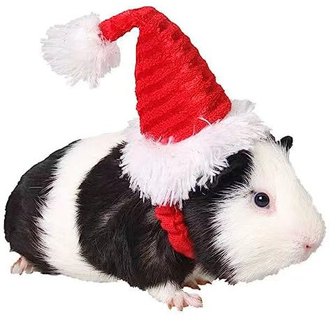 Meerschweinchen Nikolausmütze - Kätzchen Häschen Hamster Chinchilla Igel Frettchen Eichhörnchen Weihnachtsmütze Streifen Weihnachtsmann Kappe Partyhut für kleine Tiere (XS)
