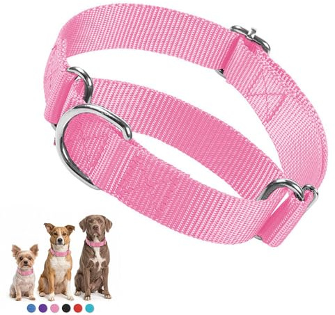 Martingal-Halsband für Hunde, Hundewürgehalsband Escape Proof Keine Zug Cinch Hundetrainingshalsbänder einstellbar für kleine mittlere große Rasse Haustier Hunde