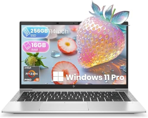 HP Ordinateur portable EliteBook 845 G8, 14 FHD (1920 x 1080), AMD Ryzen 5 Pro 5650U, 16 Go de RAM, 256 Go SSD, clavier Qwerty, HDMI, Windows 11 Pro (Reconditionné)