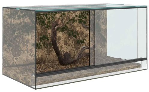 Terrarium aus Glas, Terrarium Futterbox für Reptilien, Amphibien, Weiß, 80 x 40 x 40 cm