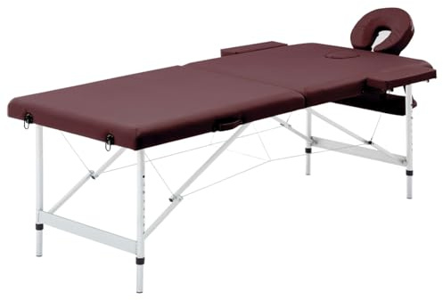 Fasba Massageliege Klappbar, 2-Zonen Massagetisch mit Aluminiumgestell, Schaumstoff-Polsterung, verstellbare Kopfstütze und Armlehnen, Tragetasche, für professionelle und Private Nutzung