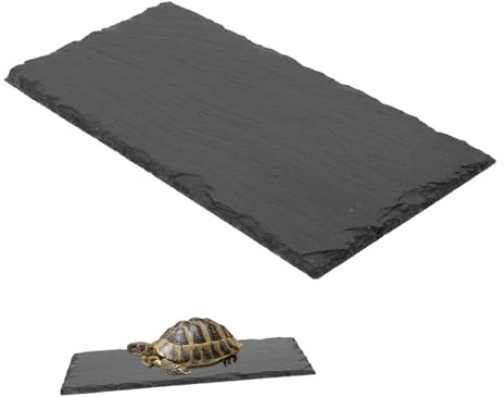 HOODANCOS Natürliche Futterplatte aus Stein für Schildkröten und Reptilien Stabile rutschfeste Futter Trinkschale Langlebig Leicht zu Reinigen für Landschildkröten und Terrarien