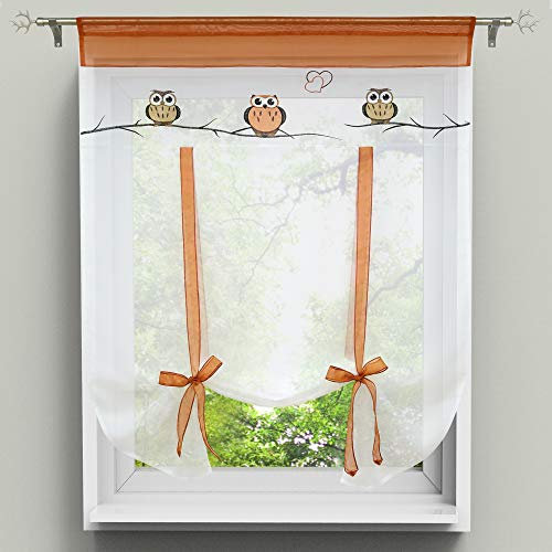 HongYa Raffrollo Bindegardine Eule Bestickte Küche Gardine Transparenter Vorhang Voile mit Tunnelzug H/B 100/80 cm Terra