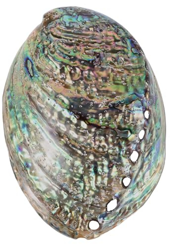 Veemoon Natürliche Abalone-Schale Shell Desktop Tank Zubehör Strand Räucherstäbchen Poliert Hoch DIY Anhänger Wohnschmuck Poliert Ring Tisch cm Paua für Halter Clearing Bowl Coastal Large Dekorative