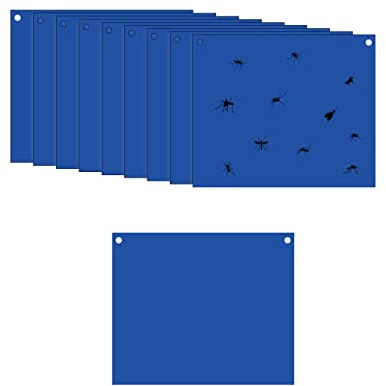 TopHomer 10 trappole per mosche adesive blu, 20 x 25 cm, adesivi in carta mosca su entrambi i lati, per insetti contro moscerini funghi, mosche bianche, afidi, minatori di foglie