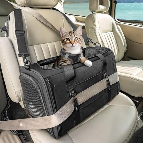 Petsfit Transportbox für Katzen – Faltbare Transporttasche für Haustiere bis 5 kg mit Netzfenstern & Innenkissen – ideal fürs Auto, Reisen & Tierarztbesuche – auch für kleine Hunde geeignet