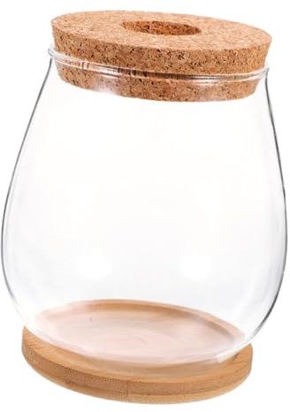UKCOCO Hydroponic Glass Bowl for Plant Propagation with Bamboo Base Elegant Micro Landscape Decor