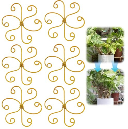 Support pour grimpantes - Stabilisateur en métal pour intérieur et extérieur - Pour l'entretien des bonsaïs Monstera, lot de 6 accessoires de croissance saine
