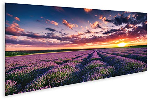 islandburner Bild auf Leinwand Lavendel Blumenfelder In Endlosen Reihen Blühen Sonnenuntergang Bilder Wandbilder Poster