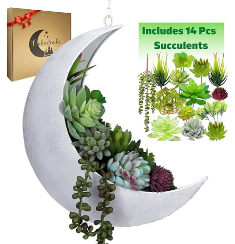 Oakadoaks Maceta Colgante de Luna, 14 Piezas de suculentas Artificiales, Ideal para Plantas de Aire, Mini Cactus, Artificiales, Plantas Bohemias, Plantas de Interior, Regalos de Bruja para Mujeres,