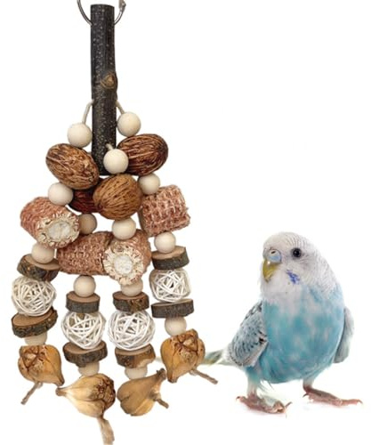 ZYYRSS Bird Toys,Parrot Toys for Large Bird,Natural Corncob Nut Hanging Chew Toys, Outdoor Indoor Toys for Parakeet,Cockatiel,Finch,Macaws