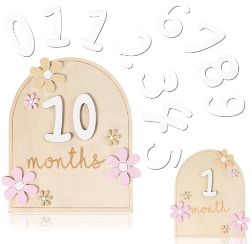 Beeveer Baby Monthly Milestone Cards with 11 Interchangeable Number