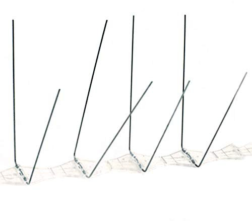 Lifetime Garden Vogelabwehrspitzen | Taubenabwehr | Edelstahl Vogelspikes | 1,65 m | 10 Panels |einfache Montage | individuell kürzbar (1,65m=10 Stück)