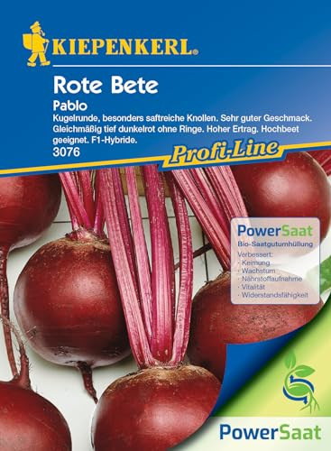 Kiepenkerl Profi-Line Rübensamen Pablo PowerSaat - Rote Bete Samen - Saatgut für ca. 200 Pflanzen - Gemüsesamen aus kontrolliertem Anbau - Premium Rübchen Samen für den Garten oder Hochbeet/Balkon