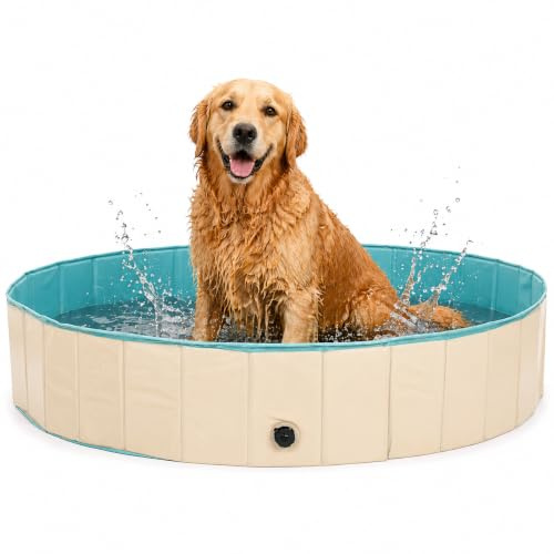 Piscinas Desmontables 160x30cm - Piscina Perro - Piscina para Perros - Mascotas
