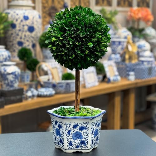 Galt International Naturally Preserved Boxwood Ball Topiary Tree in Hand Painted Blue & White Ceramic Pot Planter - European Rococo Home Decor Classic Chinoiserie - 8 Diameter Topiary 19 Tall