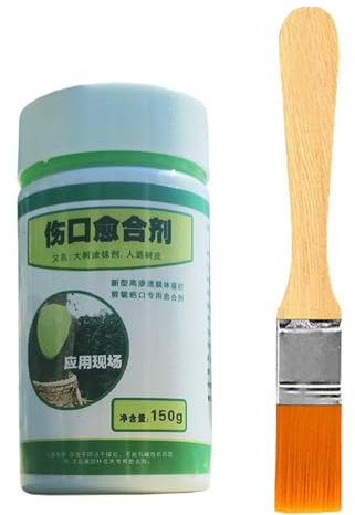 Meilleur scellant pour plaies d'arbre, scellant naturel d'arbre, pâte de greffage d'arbre, mastic de des plaies d'arbre, agent de des plaies de avec brosse pour arbres