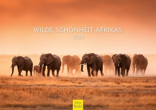 Edition Seidel Calendario premium Salvaje Belleza África 2026, formato DIN A3, calendario de pared, animales, elefante, león, jirafa, cebra, safari, naturaleza, vida salvaje